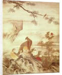Pheasants and peonies by Motonobu Kano
