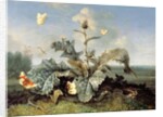 The Burdock Bush by Otto Marseus van Schrieck