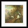 Peacock and Peahen with a Red Cardinal in a Classical Landscape by Tobias Stranover