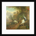 Peacock and Peahen with a Red Cardinal in a Classical Landscape by Tobias Stranover