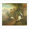 Peacock and Peahen with a Red Cardinal in a Classical Landscape by Tobias Stranover