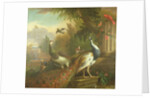 Peacock and Peahen with a Red Cardinal in a Classical Landscape by Tobias Stranover