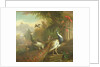 Peacock and Peahen with a Red Cardinal in a Classical Landscape by Tobias Stranover