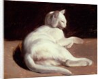 The White Cat, c.1817-18 by Theodore Gericault