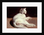 The White Cat, c.1817-18 by Theodore Gericault