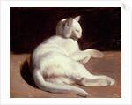 The White Cat, c.1817-18 by Theodore Gericault
