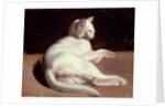 The White Cat, c.1817-18 by Theodore Gericault