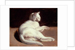 The White Cat, c.1817-18 by Theodore Gericault
