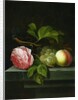 A Still Life with a Rose, Grapes and Peach, 17th century by Johannes Borman