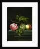 A Still Life with a Rose, Grapes and Peach, 17th century by Johannes Borman