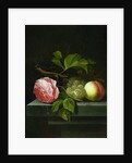 A Still Life with a Rose, Grapes and Peach, 17th century by Johannes Borman