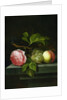 A Still Life with a Rose, Grapes and Peach, 17th century by Johannes Borman