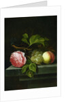 A Still Life with a Rose, Grapes and Peach, 17th century by Johannes Borman