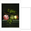 A Still Life with a Rose, Grapes and Peach, 17th century by Johannes Borman