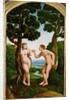Adam and Eve in Paradise by Jan van Scorel