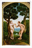 Adam and Eve in Paradise by Jan van Scorel