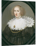 Portrait of a Lady with a Lace Collar and Pearls by Michiel Jansz. van Miereveld