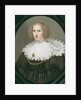 Portrait of a Lady with a Lace Collar and Pearls by Michiel Jansz. van Miereveld