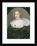Portrait of a Lady with a Lace Collar and Pearls by Michiel Jansz. van Miereveld