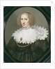Portrait of a Lady with a Lace Collar and Pearls by Michiel Jansz. van Miereveld