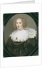 Portrait of a Lady with a Lace Collar and Pearls by Michiel Jansz. van Miereveld