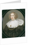 Portrait of a Lady with a Lace Collar and Pearls by Michiel Jansz. van Miereveld