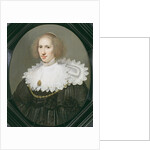 Portrait of a Lady with a Lace Collar and Pearls by Michiel Jansz. van Miereveld