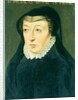 Catherine de Medici by French School