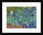 Irises, 1889 by Vincent van Gogh