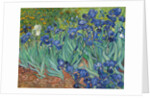 Irises, 1889 by Vincent van Gogh