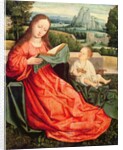 The Madonna and Child by Flemish School