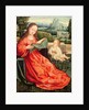 The Madonna and Child by Flemish School
