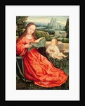 The Madonna and Child by Flemish School