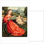 The Madonna and Child by Flemish School