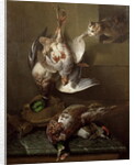 A Cat Attacking Dead Game by Alexandre-Francois Desportes