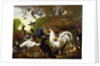 The Fable of the Raven with a Peacock, Cockerel, Woodpecker, Jay, Woodcock, and Magpie by Pieter Casteels
