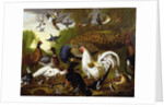 The Fable of the Raven with a Peacock, Cockerel, Woodpecker, Jay, Woodcock, and Magpie by Pieter Casteels