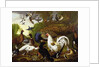 The Fable of the Raven with a Peacock, Cockerel, Woodpecker, Jay, Woodcock, and Magpie by Pieter Casteels