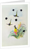 Hummingbird by John & Richter Henry Constantine Gould