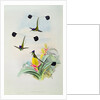 Hummingbird by John & Richter Henry Constantine Gould