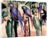Blue Parrots by August Macke