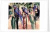 Blue Parrots by August Macke