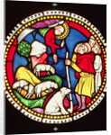 Window depicting The Annunciation to the Shepherds, c.1300 by German School