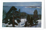 Winter Night, c.1900 by Edvard Munch