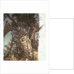 Never so weary, never so woeful by Arthur Rackham