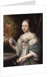 Portrait of a Lady, 1671 by Wallerant Vaillant