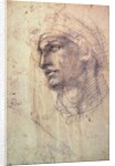 Study of a Head by Michelangelo Buonarroti