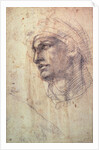 Study of a Head by Michelangelo Buonarroti