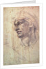 Study of a Head by Michelangelo Buonarroti