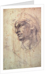 Study of a Head by Michelangelo Buonarroti